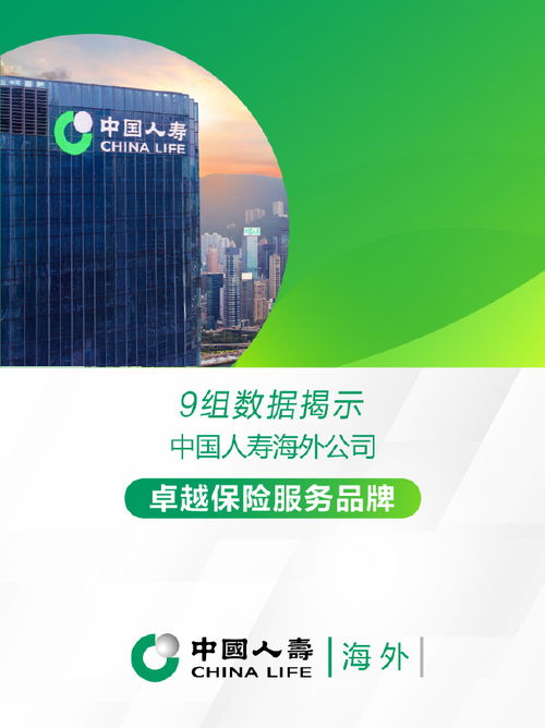 国寿海外公司 践行“333战略”，守护社会经济咨询
